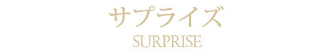 サプライズプラン札幌藻岩夜景レストランサロットデカナ公式